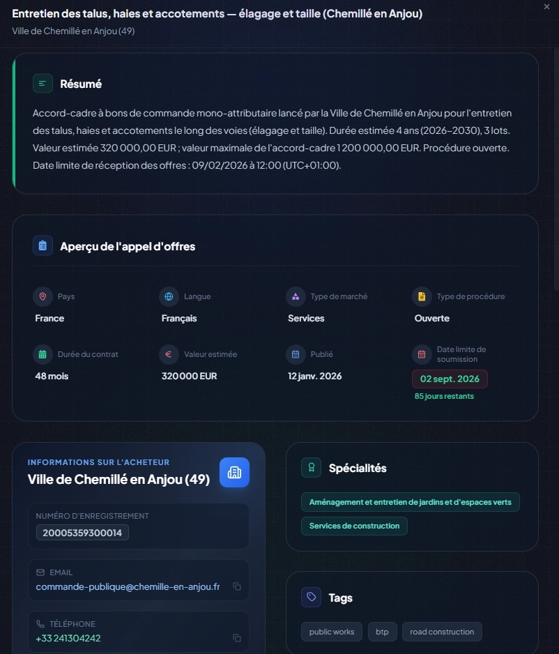 Exemple de fiche d'appel d'offres synthétisée